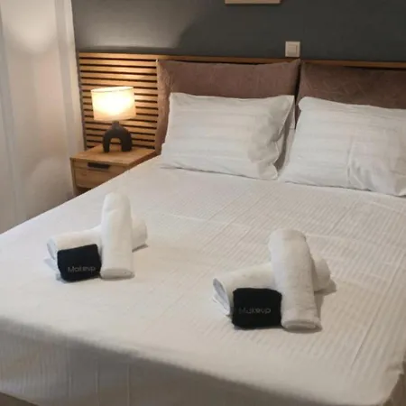 Theo Luxury Appartement *